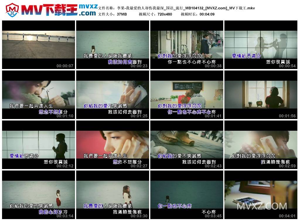 李果-我最爱的人却伤我最深_国语_流行_MB104132